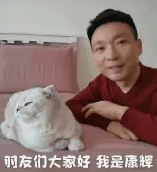 猫 就算央视男神我也照样嫌弃 谁不服 知乎