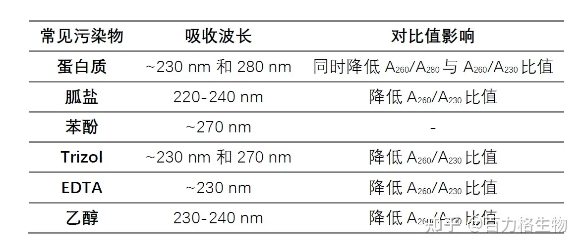 未使用品】 投網NO80 14節約4分600目約4.4kg 新品未使用 その他