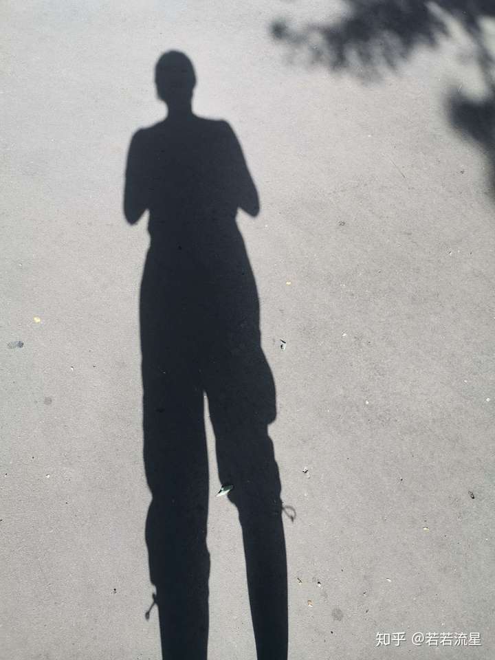 你有拍过美美的(或者有意思的)影子照吗?