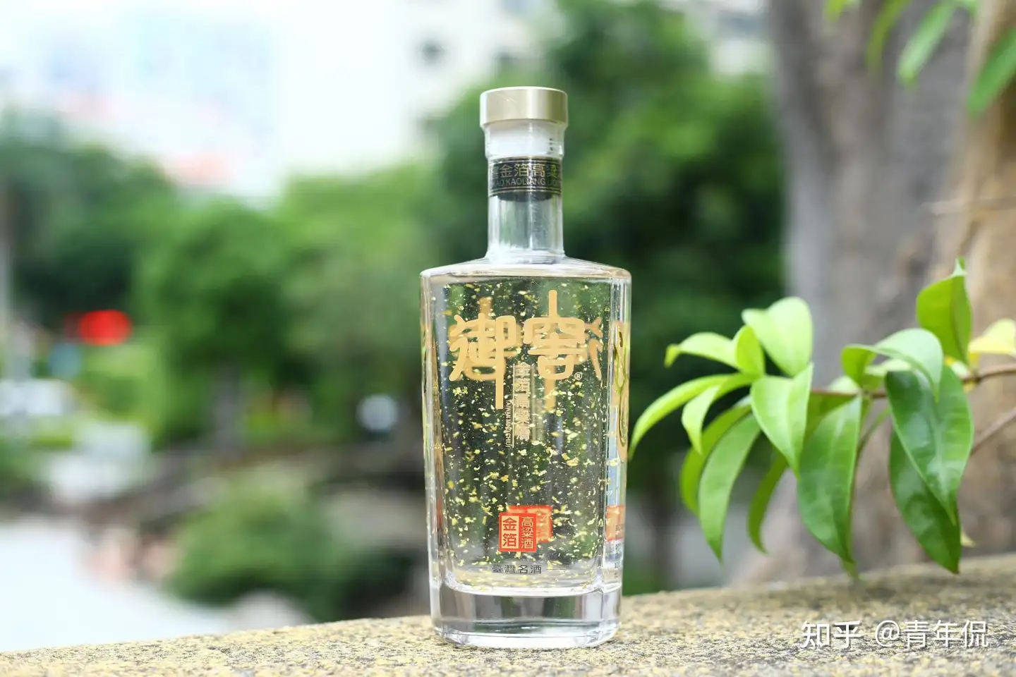 宝岛台湾：酒文化与大陆一脉相承，说说台湾省的六款名酒- 知乎