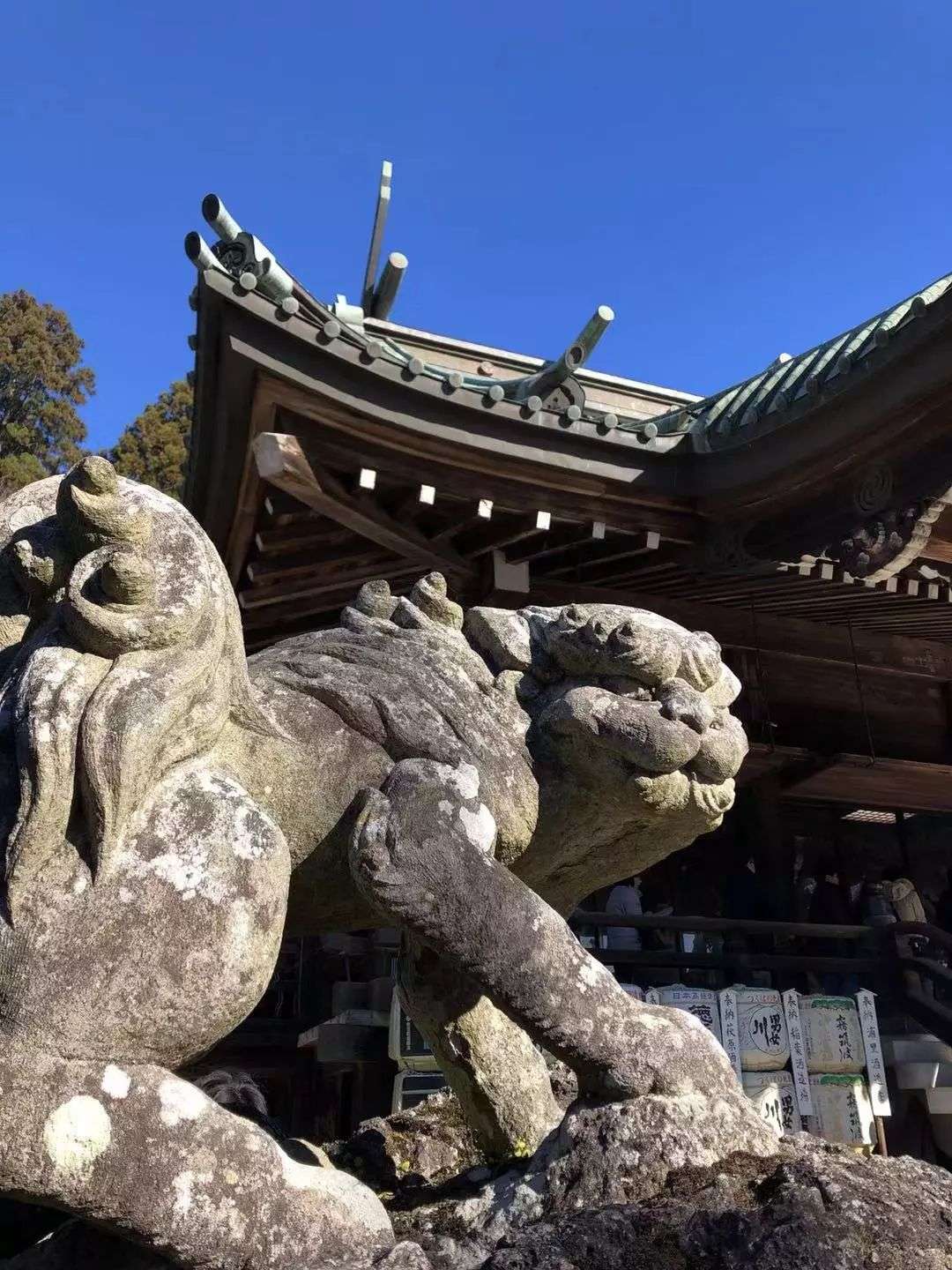 这流年似水无情 世间的温暖却不曾离去 知乎