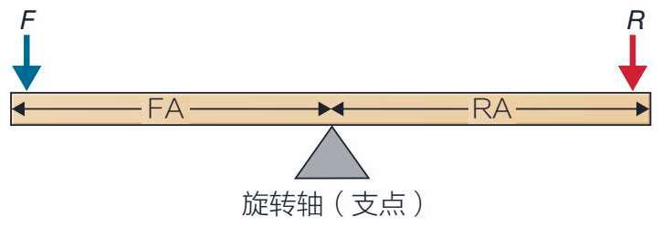 运动生物力学与解剖学 杠杆系统 知乎