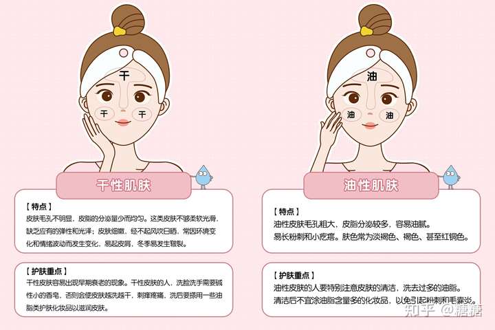 干皮和油皮