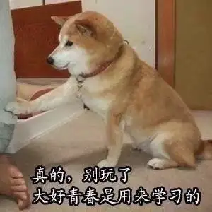 教师应该一面指导学生,一面研究学问,不仅充实自己,还会带来教学的