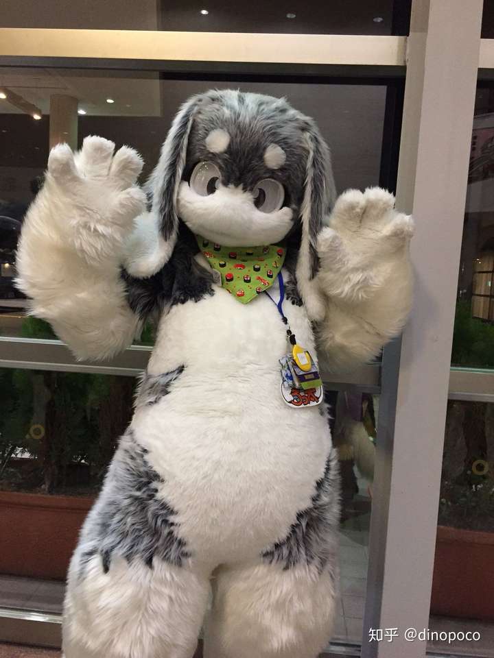 求一些可爱的兔子兽装图片?