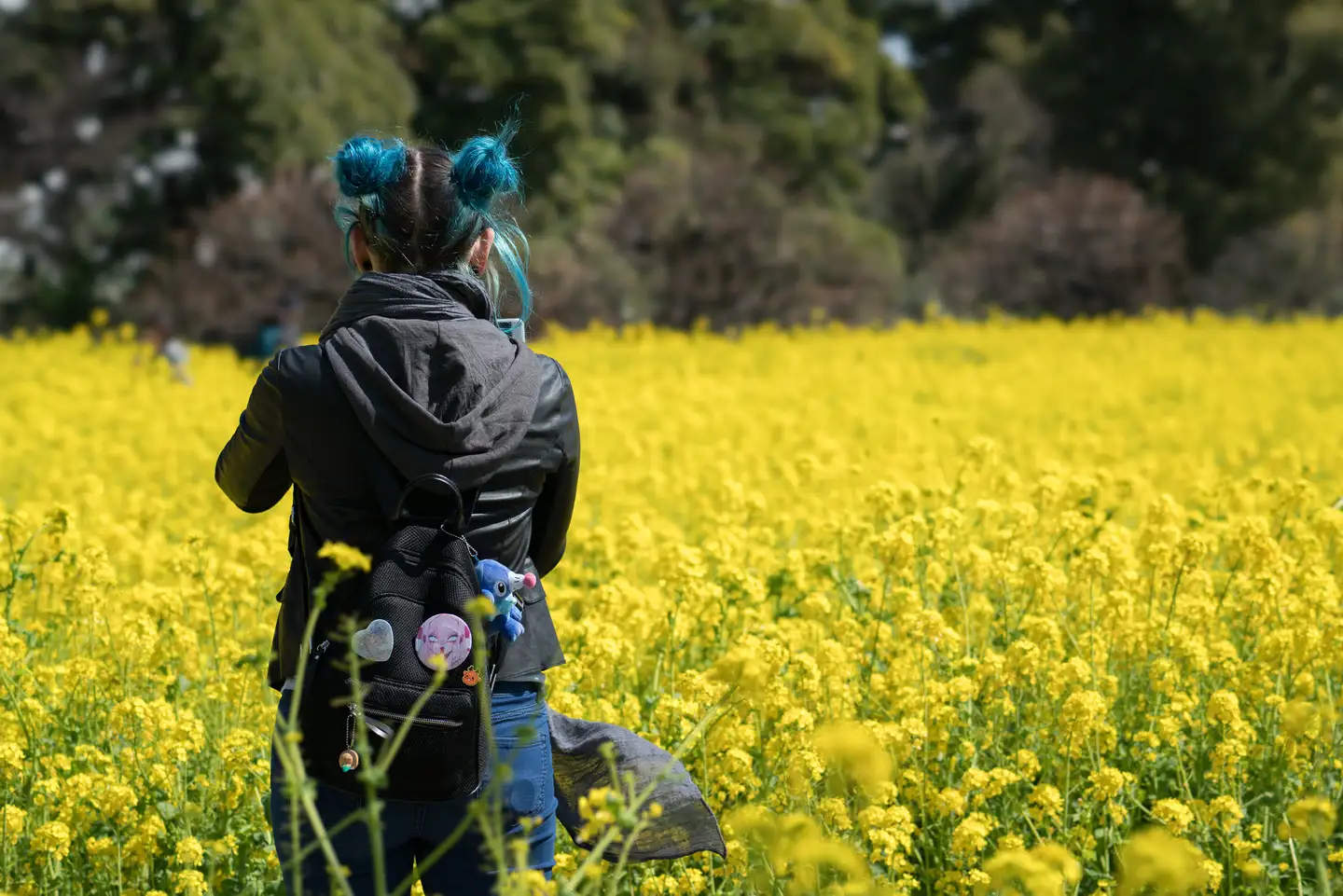 顶级焦外与解析力《FE 100mm F2.8 STF GM OSS》 - 知乎