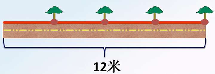 植树问题的定义和公式