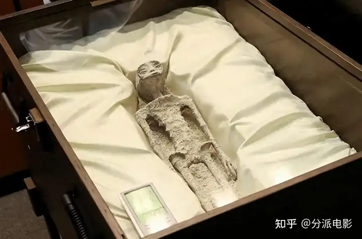 《小镇幽浮》豆瓣高分,深入人心的温情佳作!