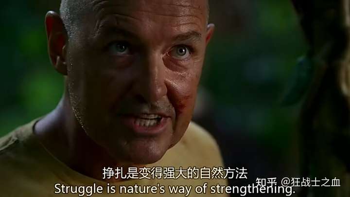 美剧《迷失》:挣扎是变强的自然法则