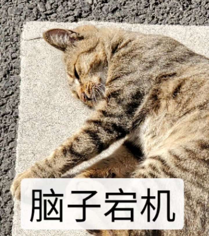 做事的效率和专注度怎么提高?