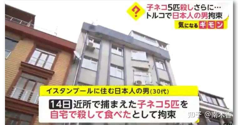 日本男子在土耳其杀猫吃被逮捕 称这是日本习俗 结果日网民炸了 知乎