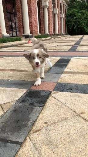 v2-3465de389a4a65116760b57a52bad36b_bh.jpg?source=1940ef5c