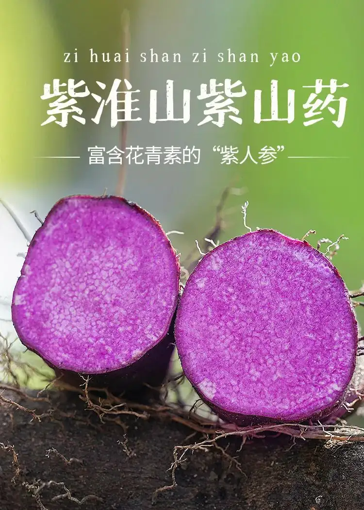 富含花青素的 紫人参 秋冬季就吃它 知乎