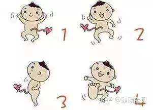 为什么胎心胎芽都有了,后面又胎停了呢?插图(5) v2-34ee43252da20dc6d8d7a1bac2db68ed_720w.jpg插图(5)