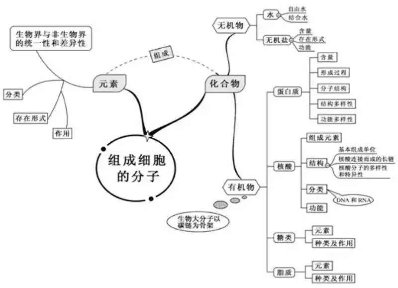 生物丨看透高中生物这张思维导图 轻松拿高分 知乎