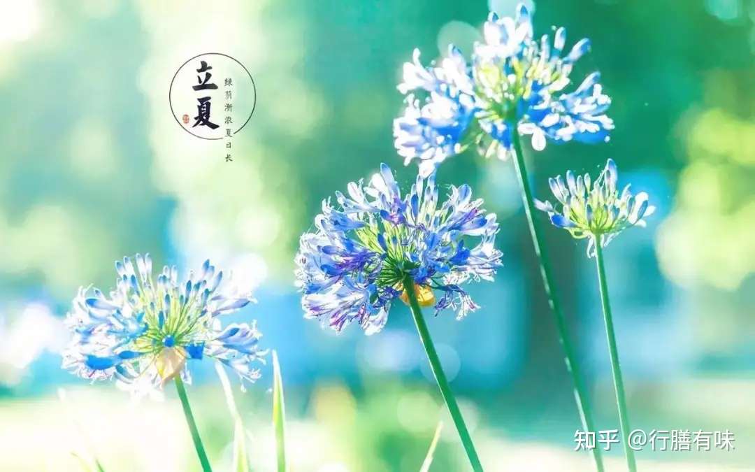 初夏健脾祛湿推荐4款汤 附教程不喝后悔 知乎