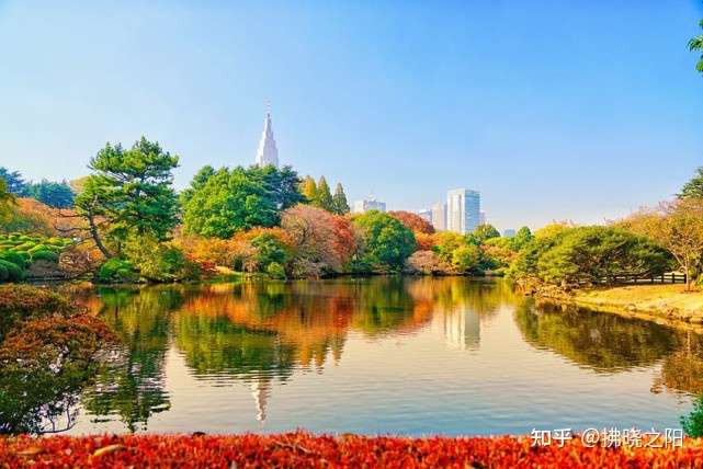 日本旅游 东京11大最佳公园推荐 知乎