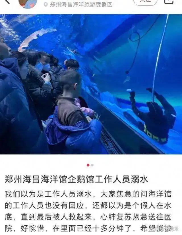 6,2月22日下午,郑州海昌海洋公园发布关于"一名潜水员在企鹅池进行