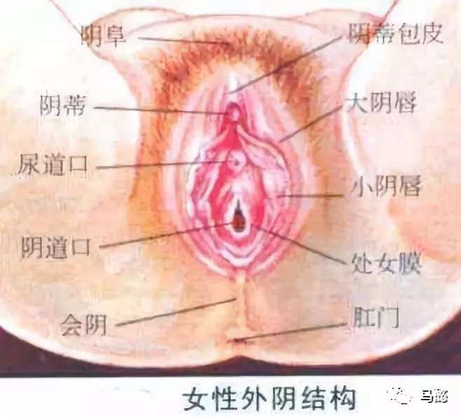 女性私密处的尴尬你有吗 知乎