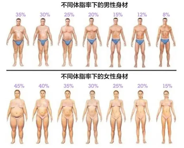 关于体脂率 正常男女标准是多少 给你一个更靠谱的计算公式 知乎