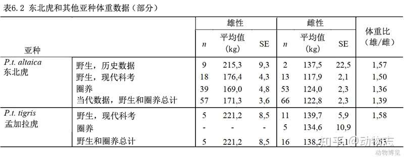 有人说东北虎体型比孟加拉虎大 但打不过孟加拉虎 真的吗 知乎