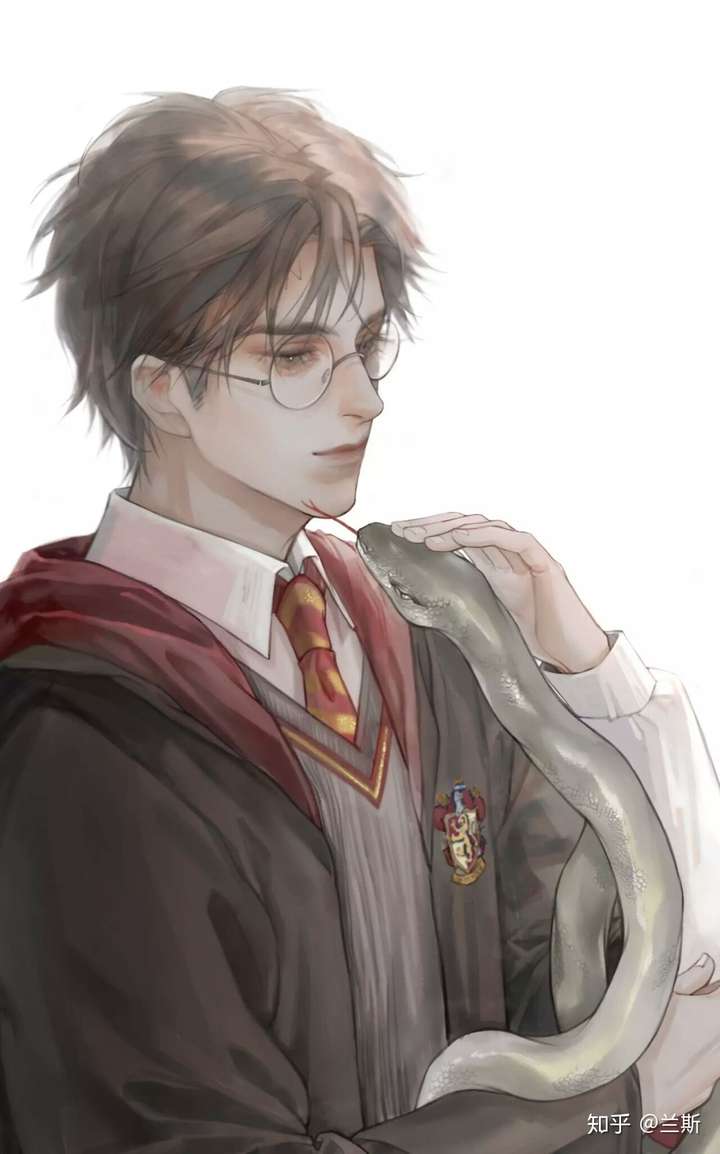 有没有哈利波特的腐图