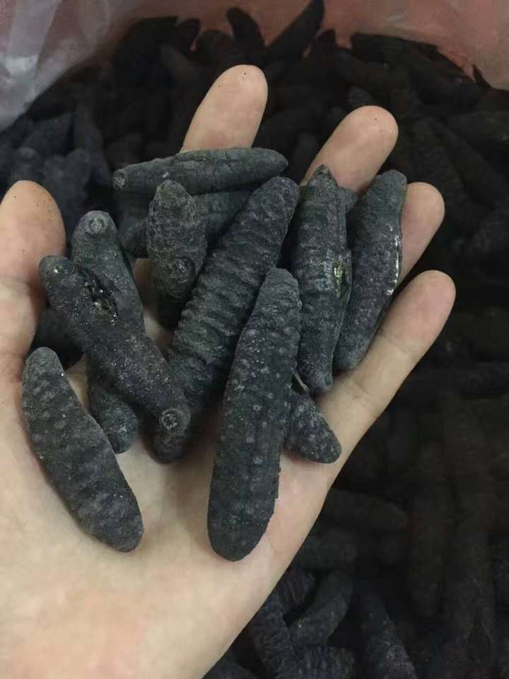 进口海参,意大利西西里岛的野生海参,纯淡干,自家晒的,价格绝对比市场