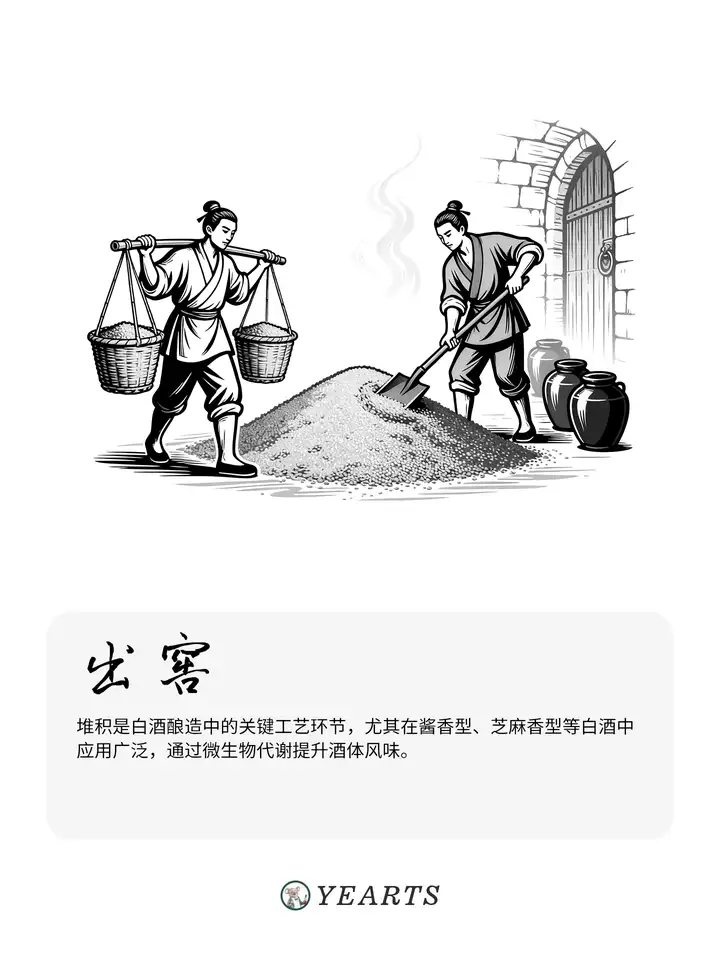 图片[11]-传统白酒酿造工艺流程-yearts