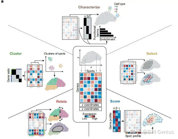 10x空间转录组重点分析合集3 知乎