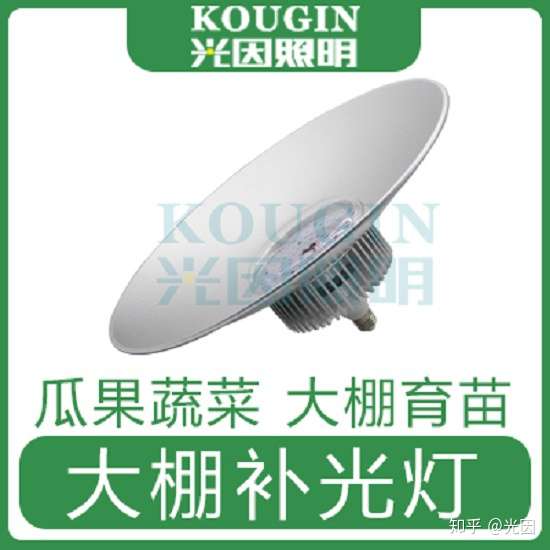 对于黄瓜对光照的要求 你了解多少 知乎