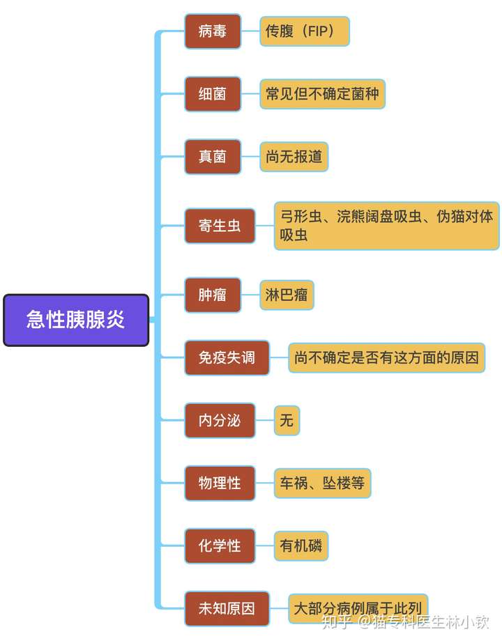 猫急性胰腺炎21要不要禁食