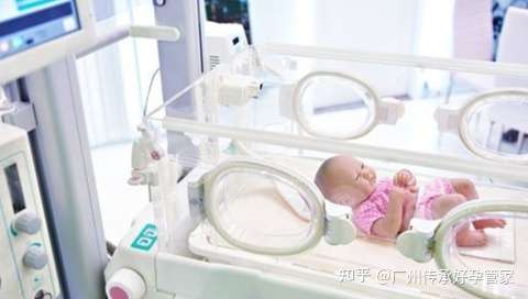 供卵试管婴儿（在广州正规医疗中心做供卵试管要花多少钱？）