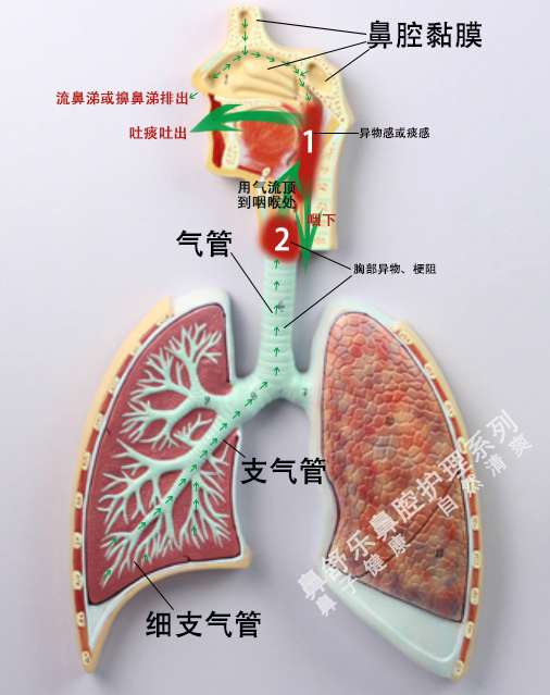 从怀孕开始,嘴里一直吐痰,有时都是黏黏糊糊得痰,一直吐个不停