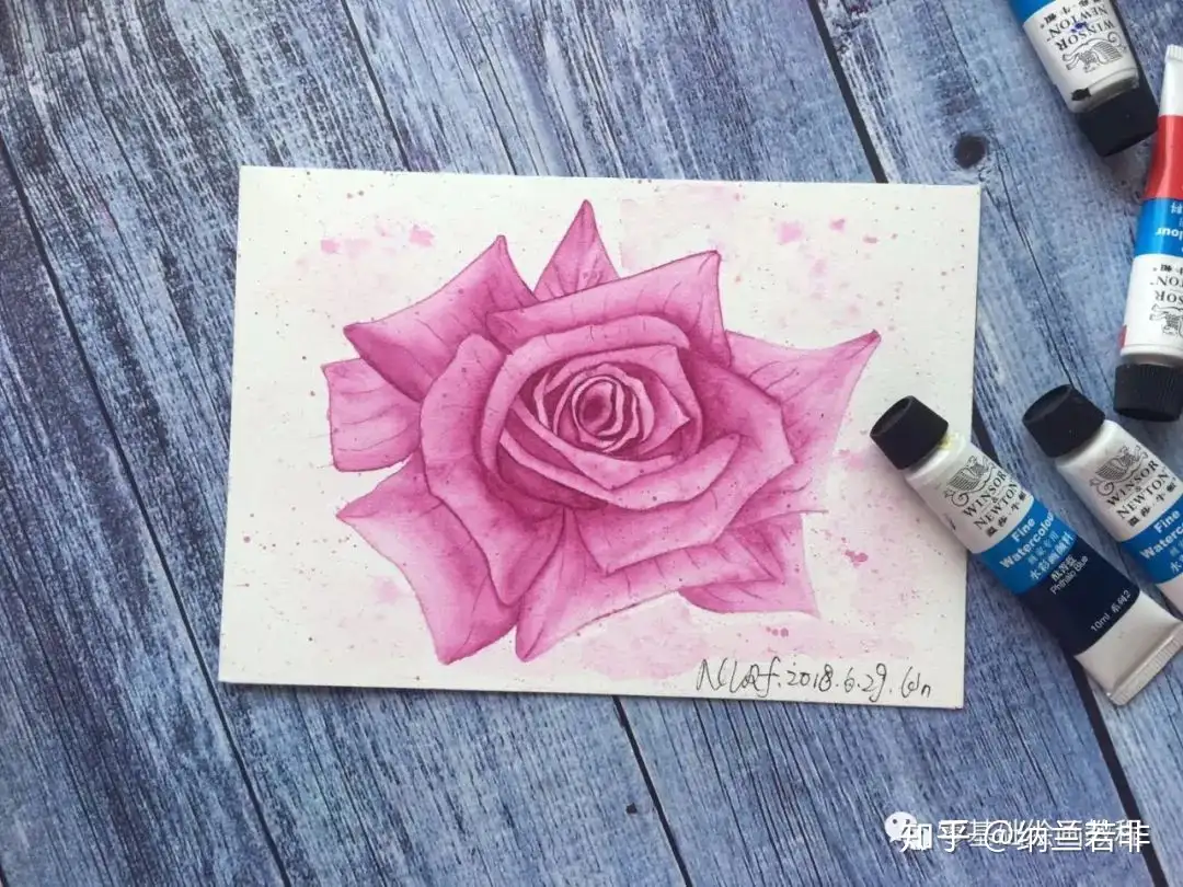 零基础绘画教程－水彩《盛放的紫玫瑰》 - 知乎