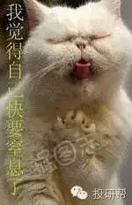 油价噩梦来了？美国发现史上最大页岩层