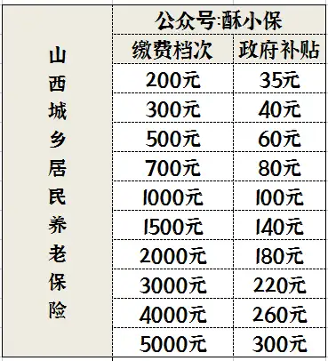 民生山西怎么查不到养老保险(民生山西怎么查不出来养老保险发放信息)