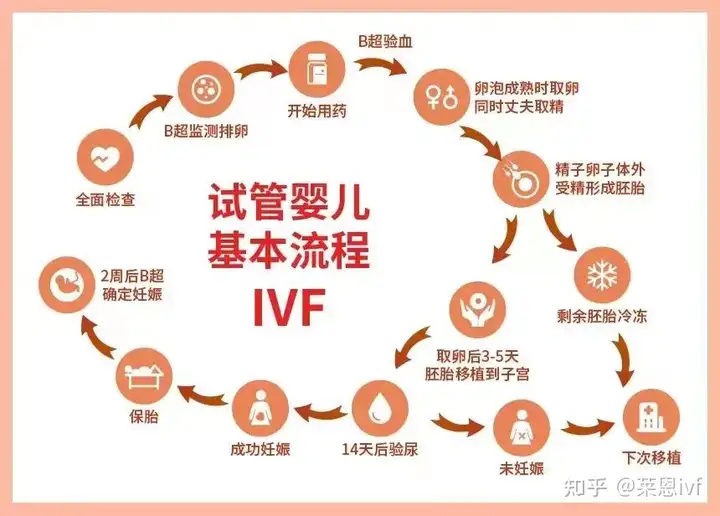 成都供卵试管医院（试管婴儿详细全流程）