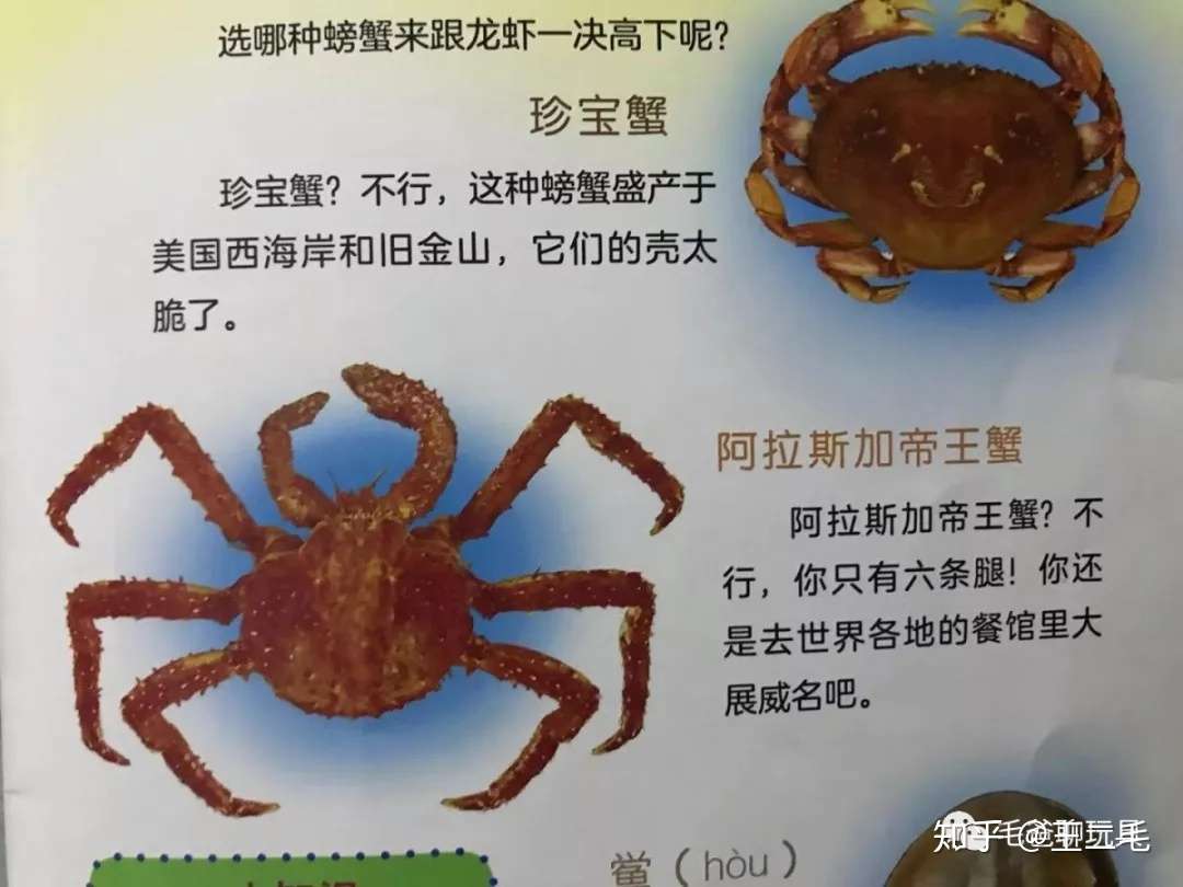 毛爸聊玩具 这套绘本全票获得了 非常值得买 评级 团购纪检委 知乎