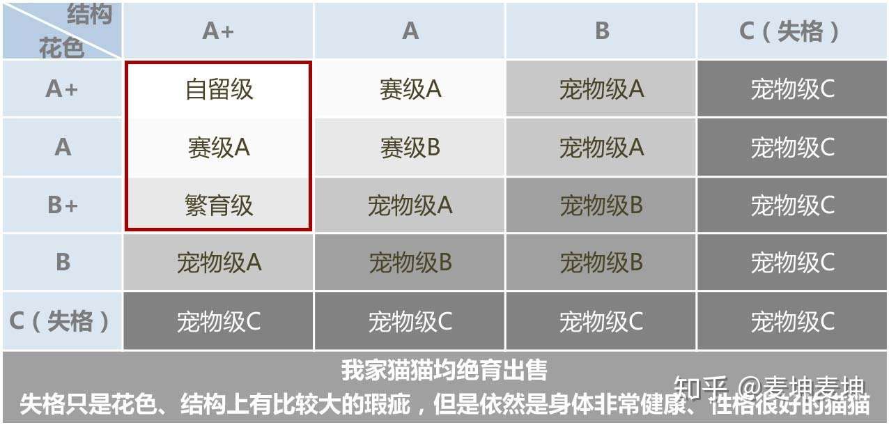 猫舍证书 血统证书 选购品种猫怎么辨别可靠猫舍 知乎