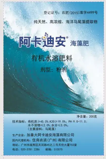 虎皮兰夏季养护技巧，做对了，叶片肥厚挤爆盆！-虎皮兰夏天怎样施肥