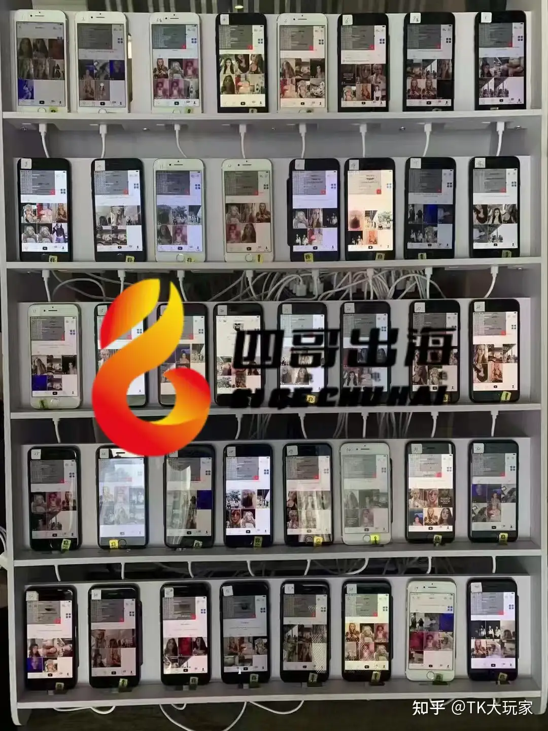 国际版tiktok怎么下载? - 知乎