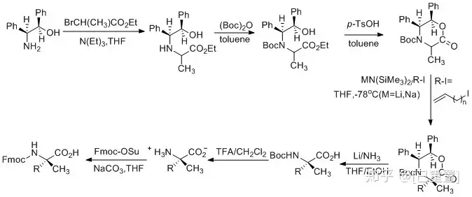 图片[2]-多肽合成-多肽合成的方法有哪些？-Hypeptide