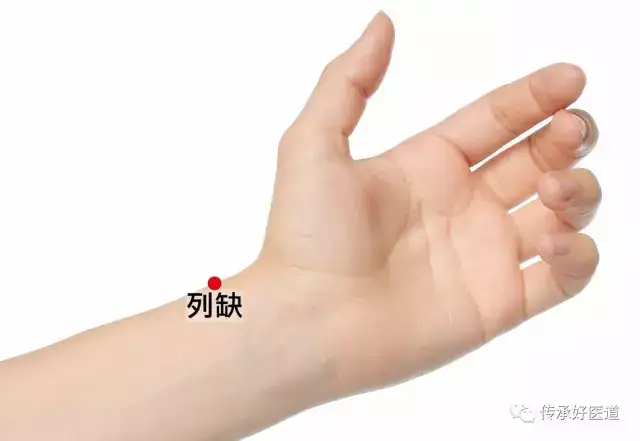 十二穴位保健按摩丨十二经络动态图