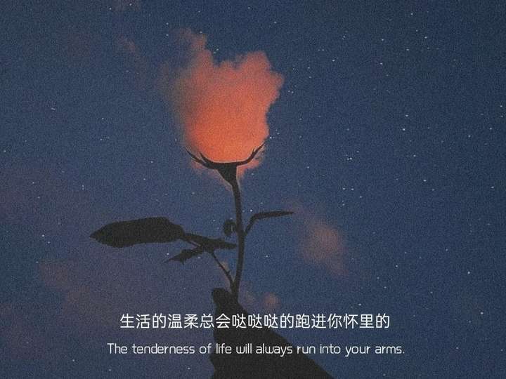 有哪些神仙句子让你记到现在的?插图16 有哪些神仙句子让你记到现在的?插图16