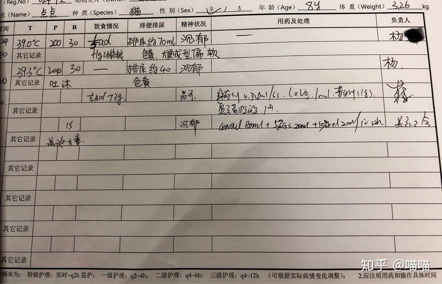 猫脂肪肝医护经历 知乎