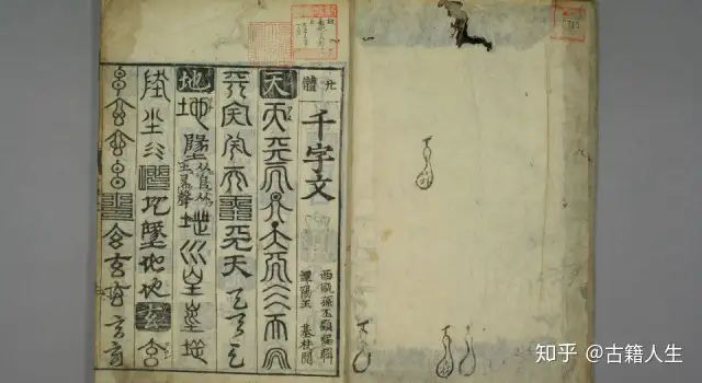 待望 廿体千字文 唐本 和本 拓本 篆書 九畳篆 篆書体 鳥虫書 1冊揃 検索 古書 古文書 Www Scruffycity Com