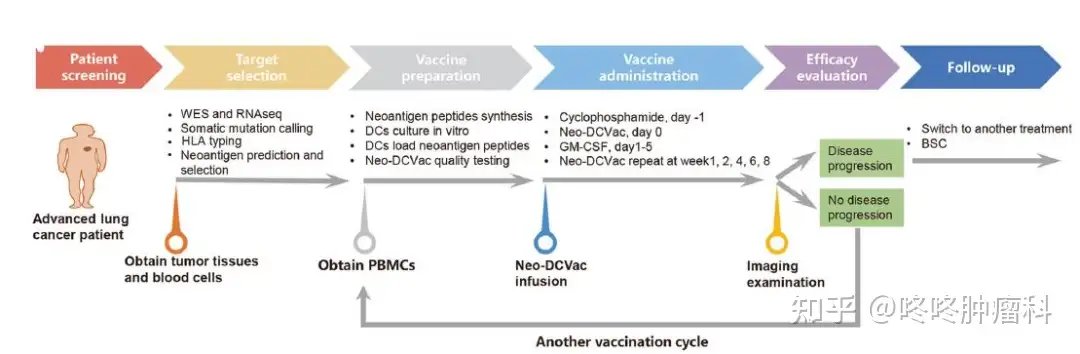 新生抗原+树突细胞+PD-1：国产配方降伏难治性癌- 知乎