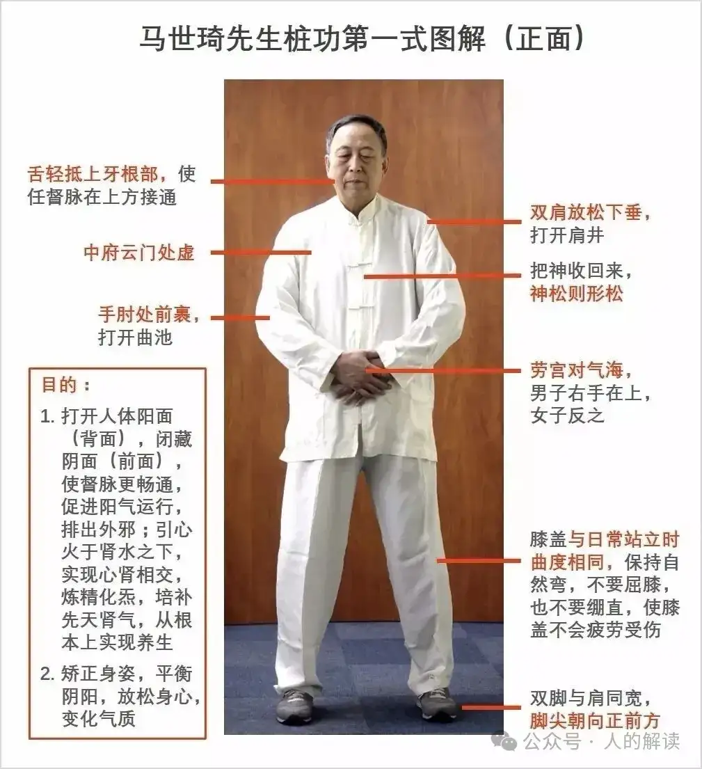 站桩，最简单的炼气功法-人的解读