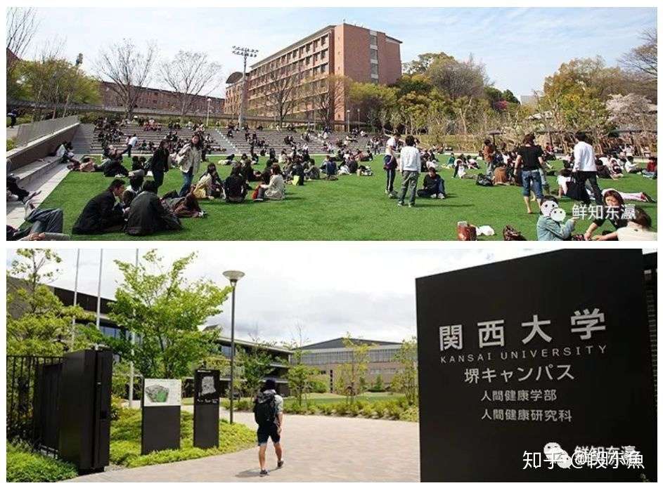 干货 留考结束后你该如何报考日本大学志愿 知乎