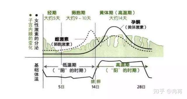 女性必读 开始健身后 生理期延迟 知乎